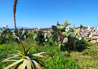 Casa Vacanze Villetta Casa Minerva